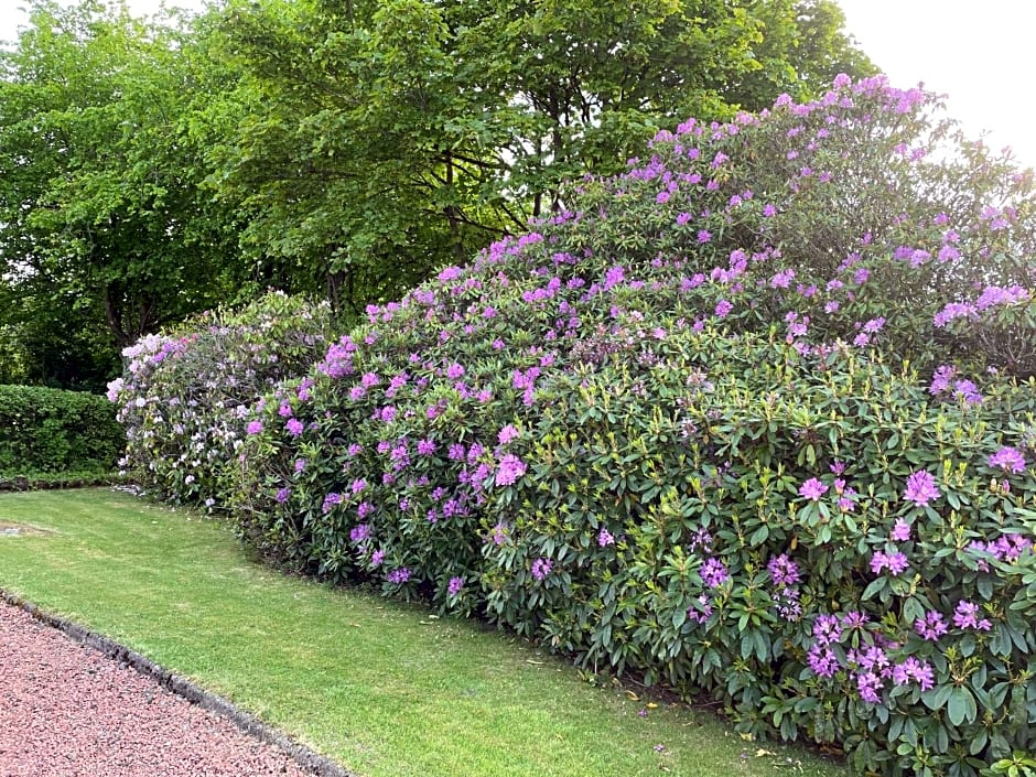 Fairview Bed and Breakfast