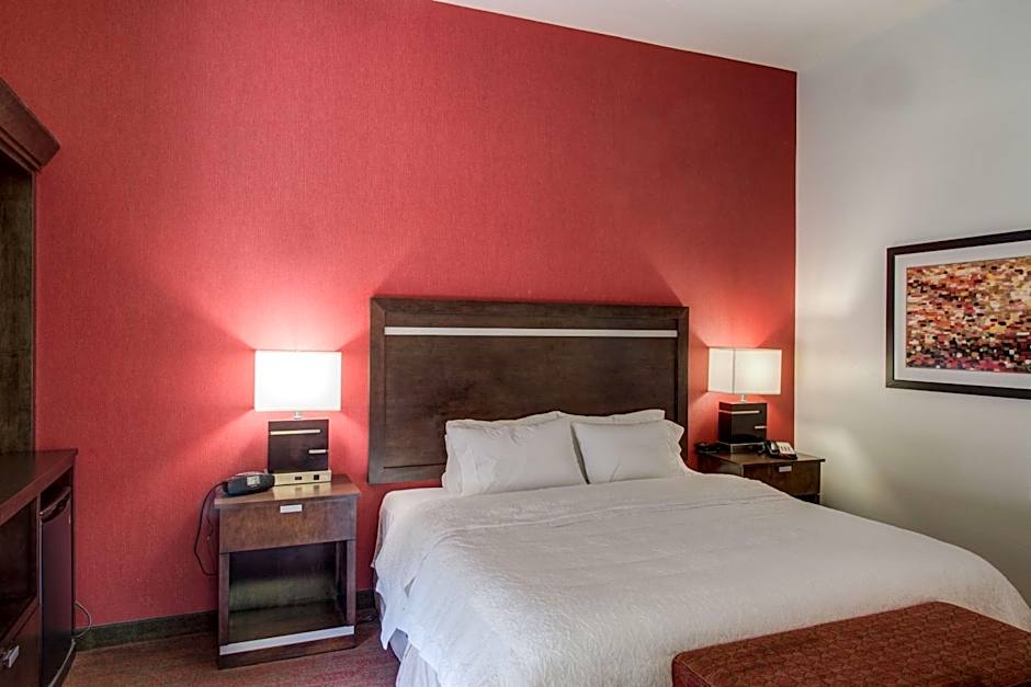 Hampton Inn By Hilton And Suites Detroit/Airport-Romulus