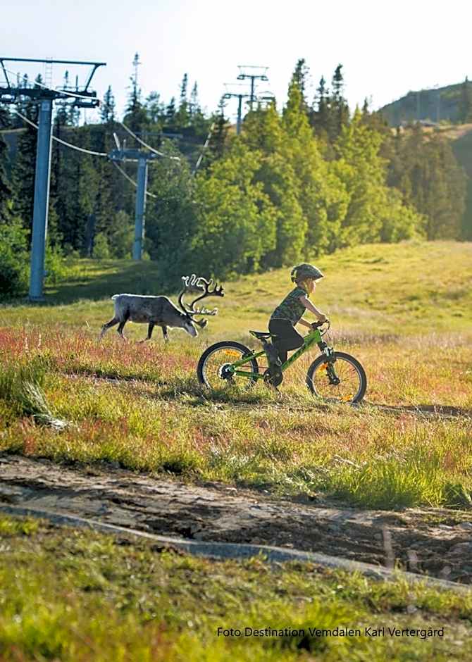 Vemdalsskalets Högfjällshotell & lägenheter