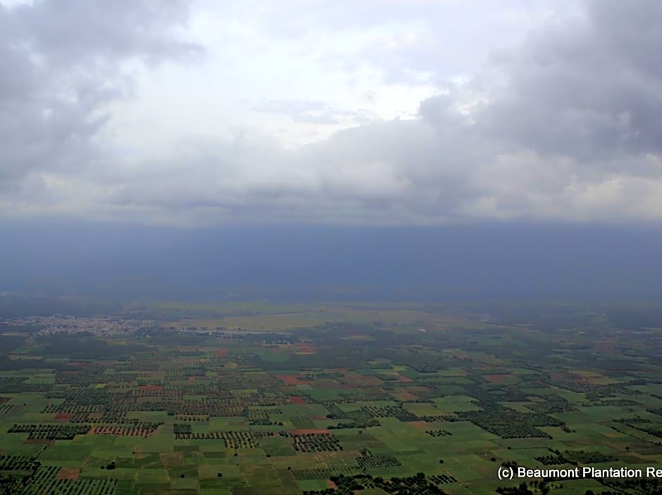 Beaumont Plantation Retreat