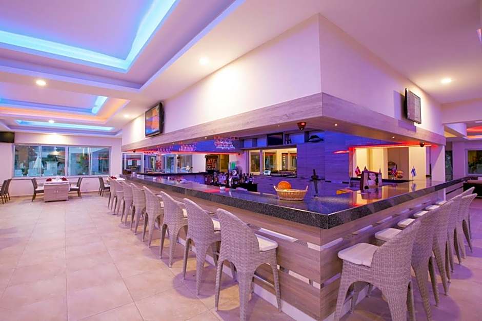 Catty Cats Garden Hotel