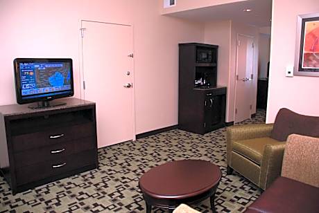 1Kng Mobility/Hearing Access Ri Shwr/Sofabed