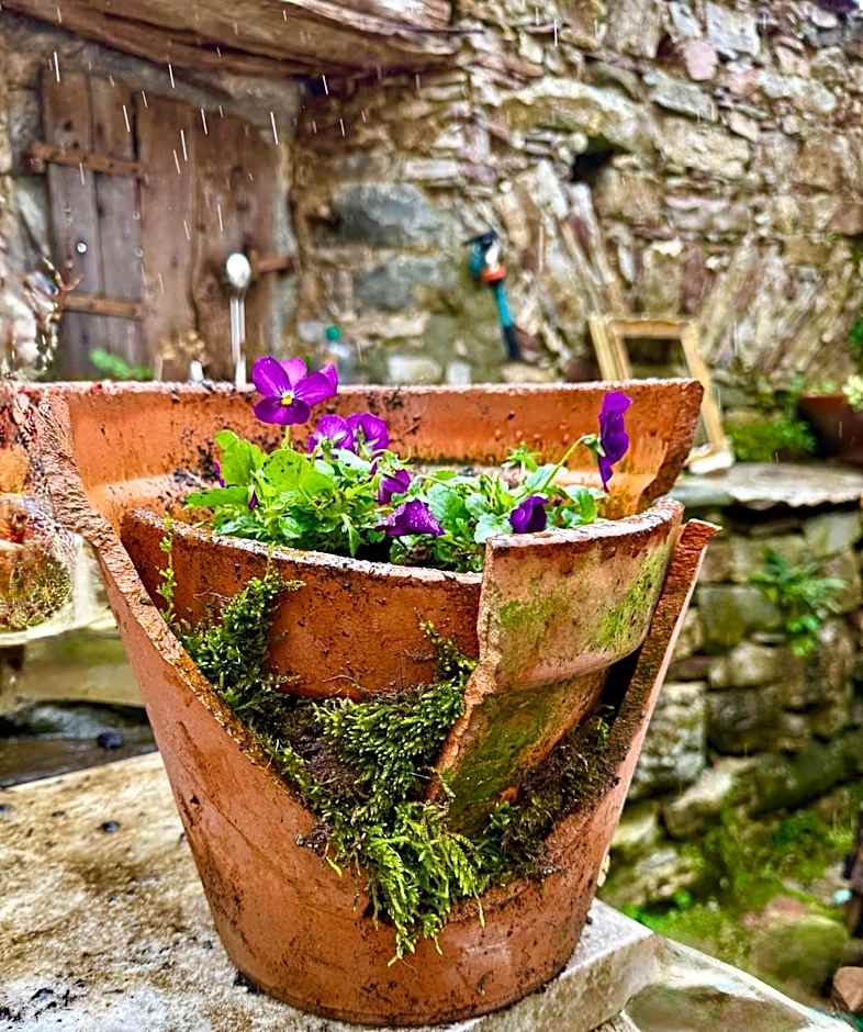 Viandanti, Artisti e Sognatori