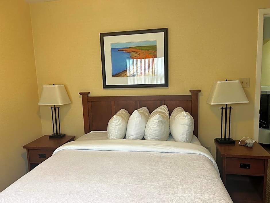 Photo 1 of 4 of 1 Bedroom Suite