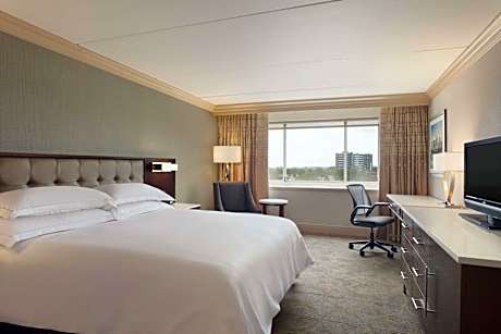 King Room with Roll-In Shower - Mobility Access