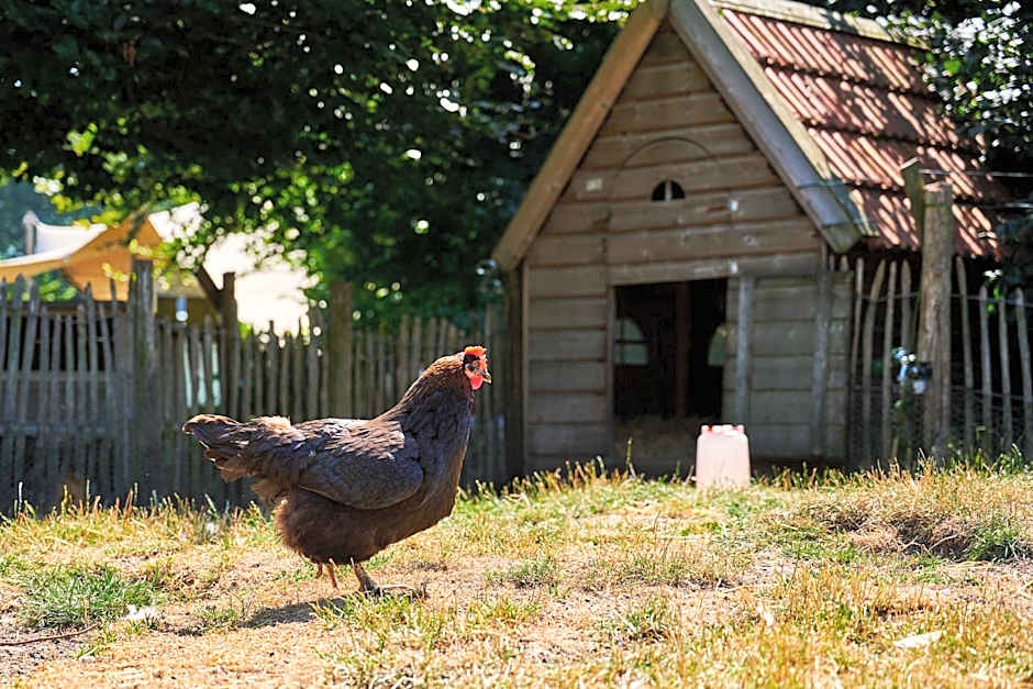 Sandberghe - Een plek om te verdwalen