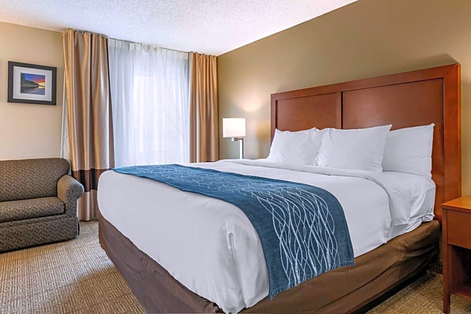 Comfort Inn & Suites Dimondale - Lansing