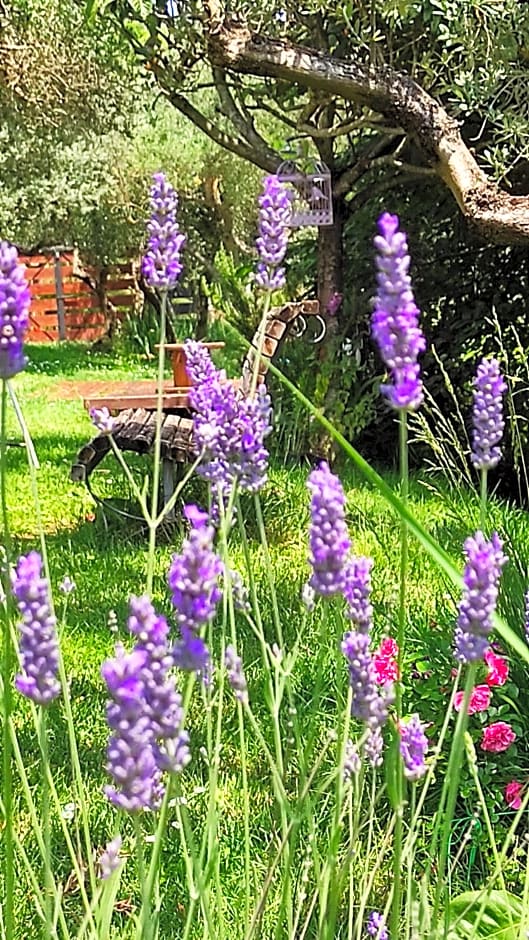 B&B La casina di Iris