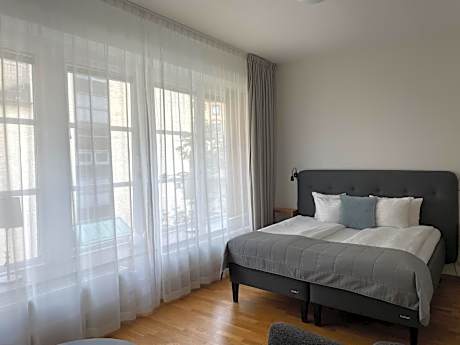 Studio with Sofa Bed