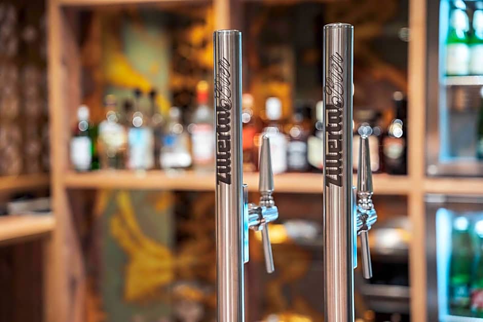 BinderS Budget City-Mountain Hotel