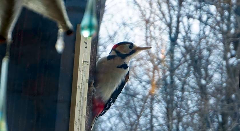 Pension Itsuka Furano e