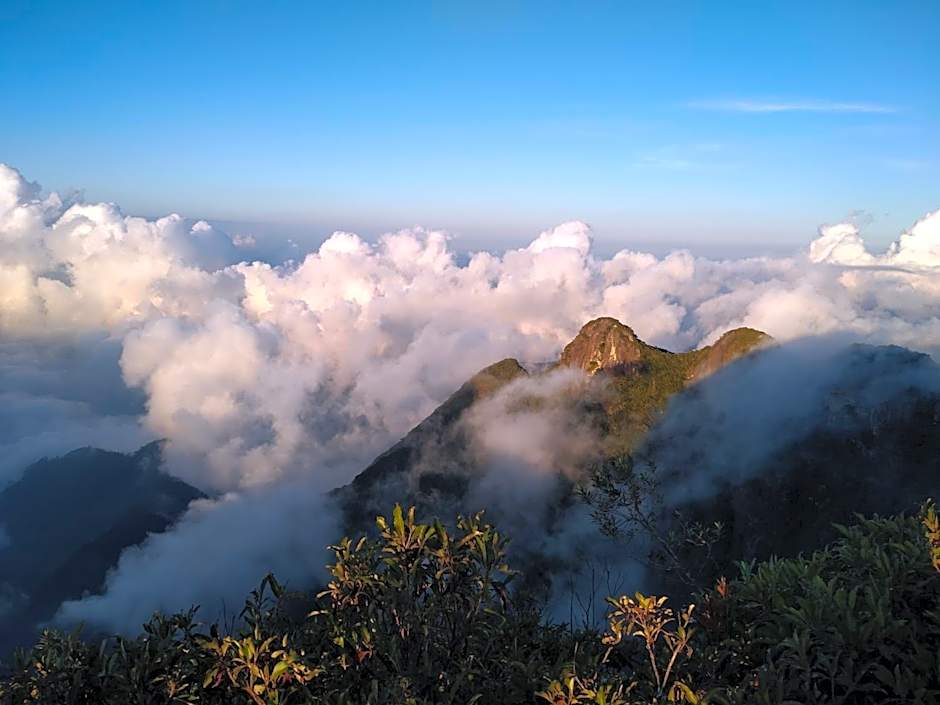 Pousada Natureza e Arte