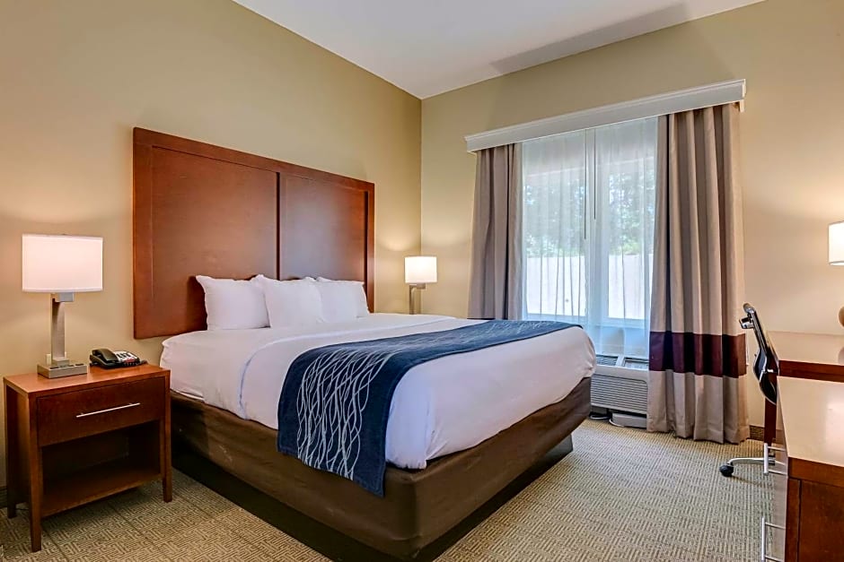 Comfort Inn & Suites Gordon HWY