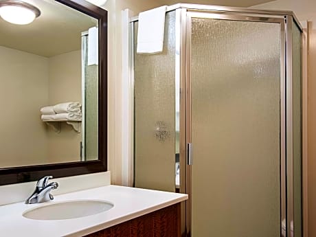 1 King Bed Mountain View Non-Smoking