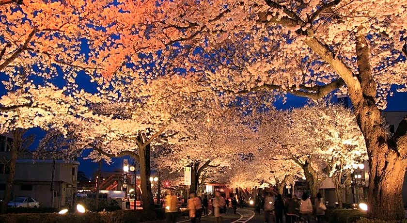 Hotel Wing International Hitachi