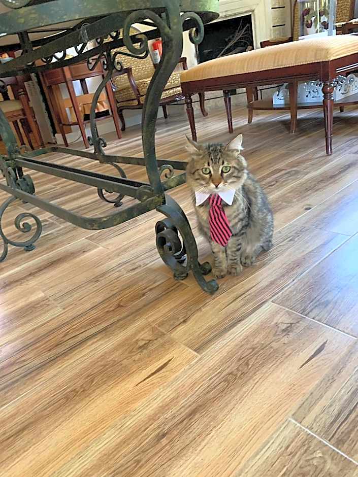 Adrasan La Casita Hotel