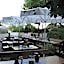 Hotel Odenwaldblick