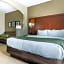 Comfort Suites Johnson City near University