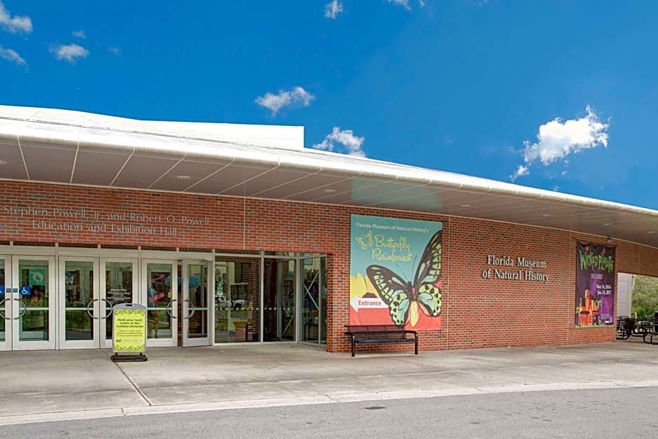 Super 8 by Wyndham Gainesville