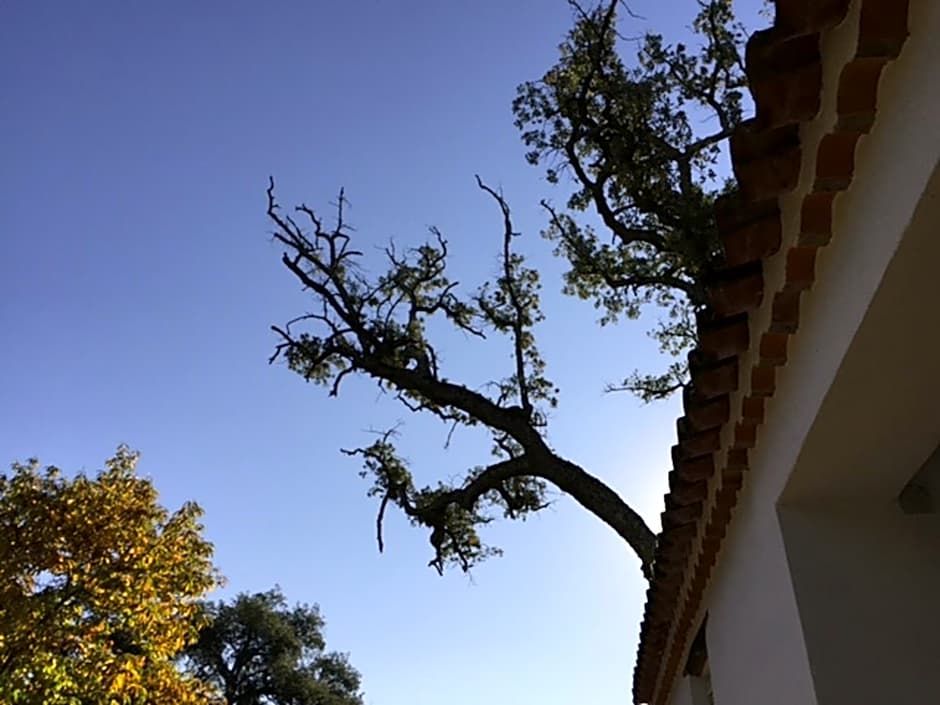 Finca Valbono Apartamentos Rurales y Hotel