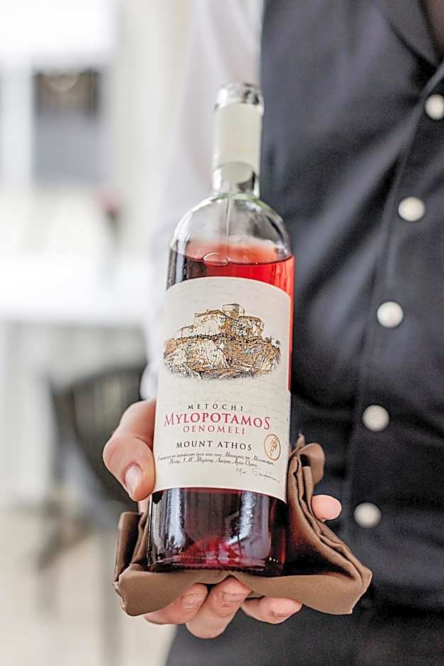 Monte Pacis Hotel In Pažaislis - Pets travel for FREE in February