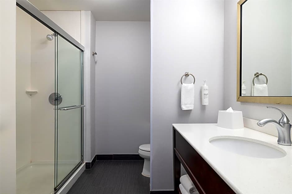 Hampton Inn & Suites Roanoke Downtown
