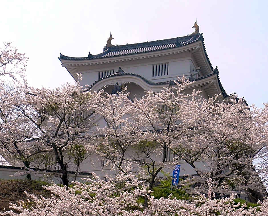 城下町家 茶庭 飛び石 BBQ 筍 金蔵Kinzo