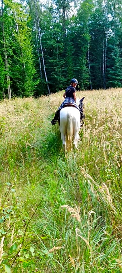 Stajnia Rajdowa Geronimo