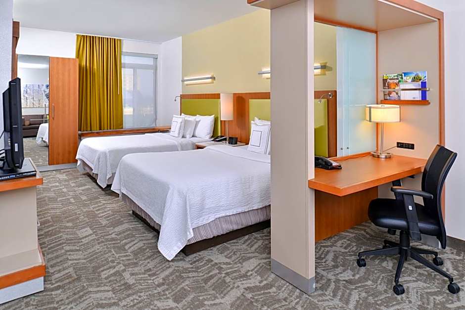 SpringHill Suites by Marriott Detroit Metro Airport Romulus