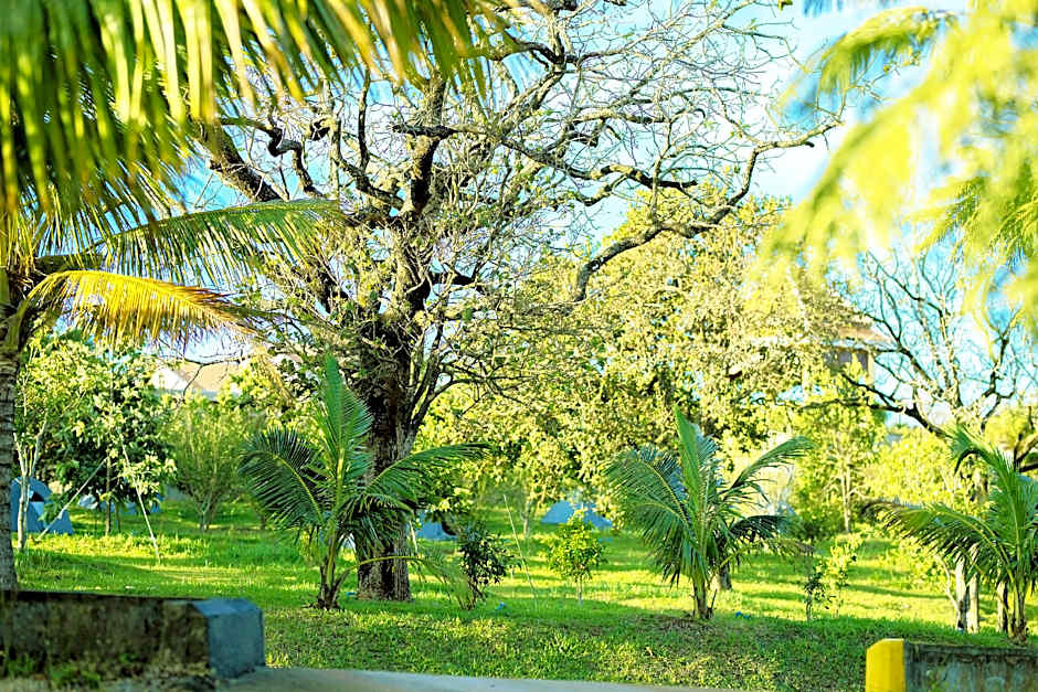 KNN Luxury Hill