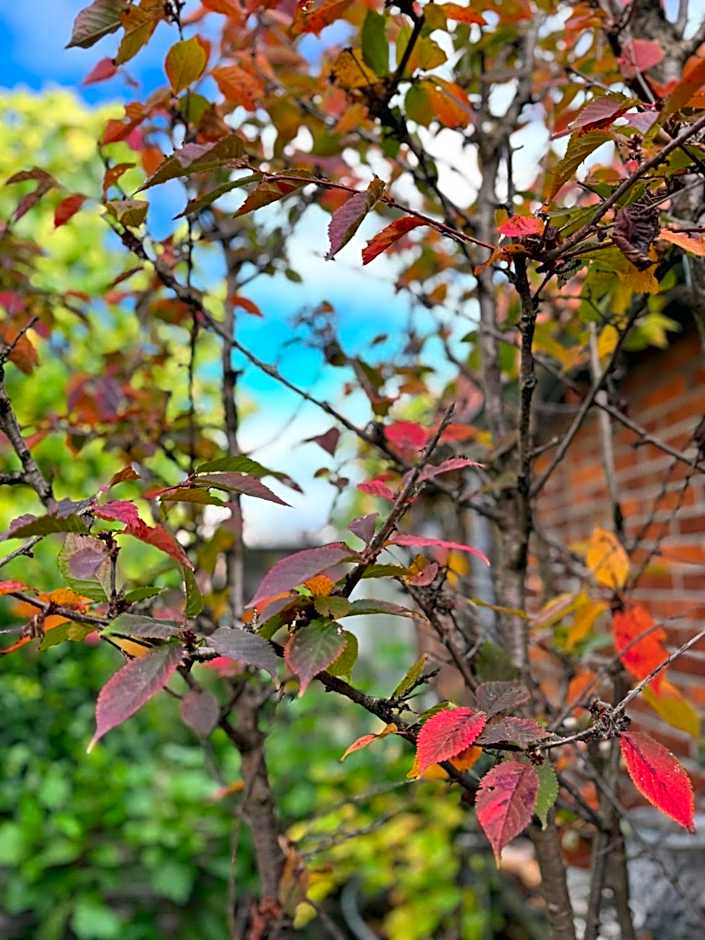 Bed & Breakfast Yerseke