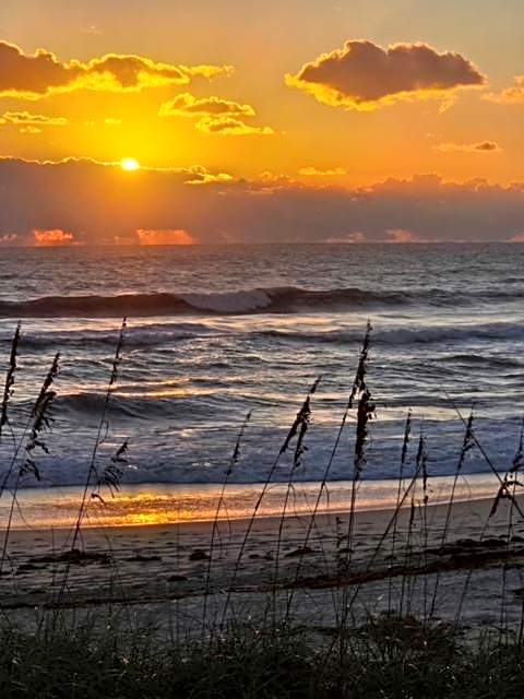 Oceanfront Sea Scape Motel