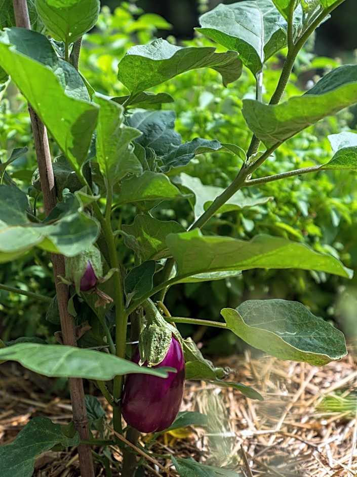 Cà Toresele Relais Osteria Garden