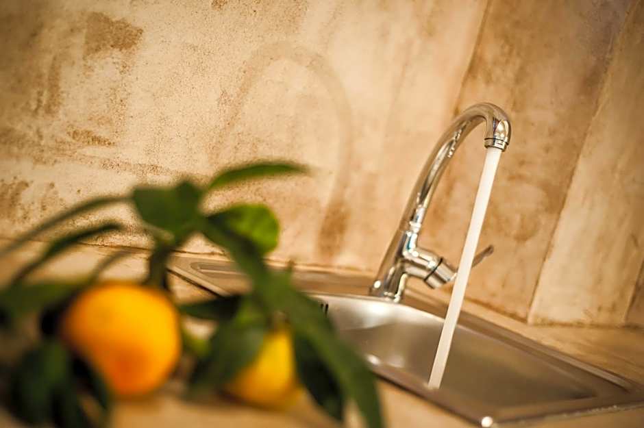 Zante Nest Studios & Apartments