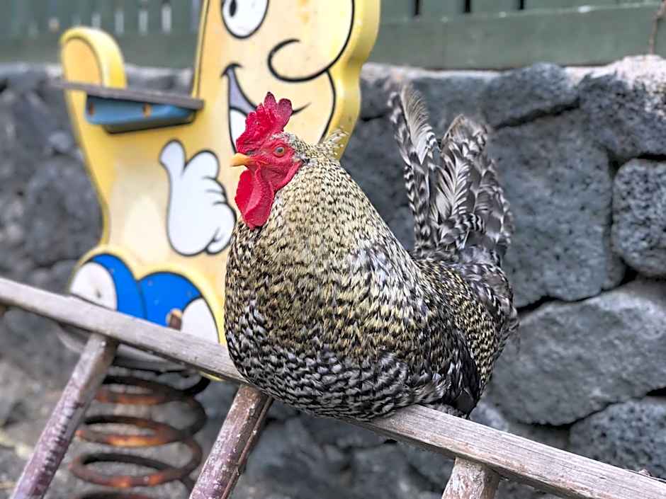 Eslanzarote Eco Dome Experience