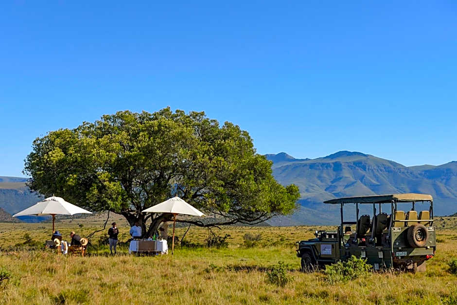 Mount Camdeboo Private Game Reserve by NEWMARK