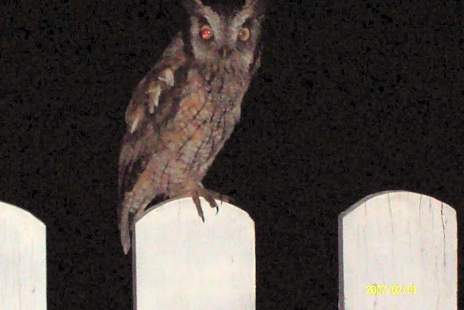 CHALES Canto dos Pássaros