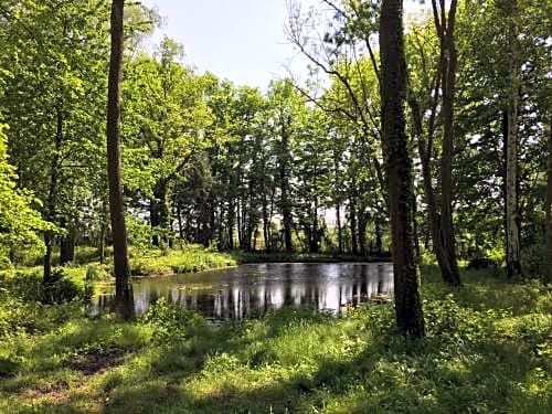 Domaine de la côte aux chats