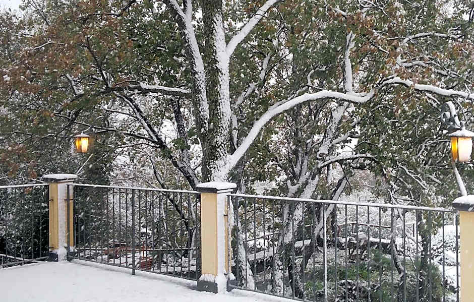 Le Querce Dell'Etna B&B