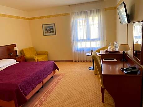 Double Room - Without Balcony