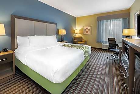 1 King Bed Mobility/Hearing Accessible Room Roll-In Shower Non-Smoking