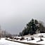 Silver Maple Motel