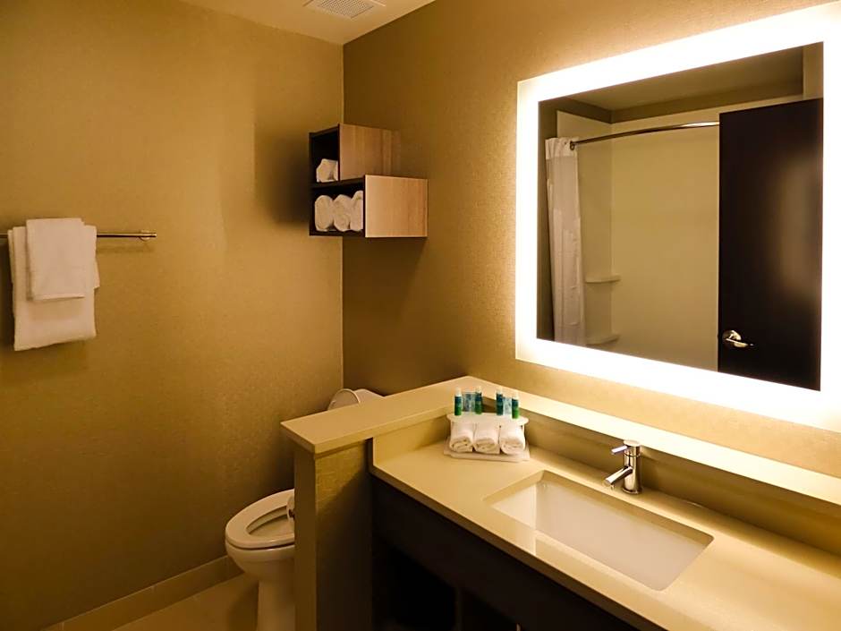 Holiday Inn Express & Suites Plymouth - Ann Arbor Area By IHG