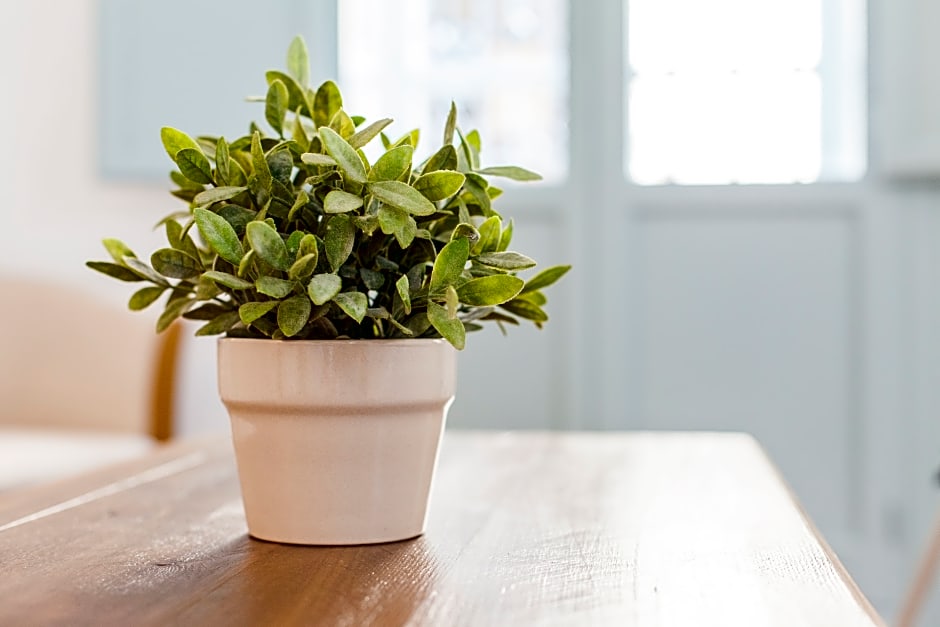 Apartamentos Suites Santa Cruz