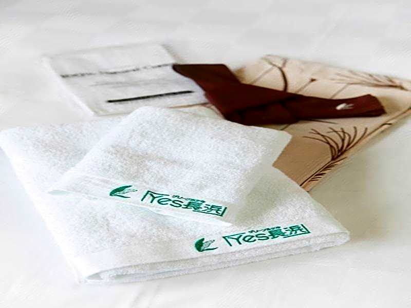 Green Hotel Yes Nagahama Minatokan