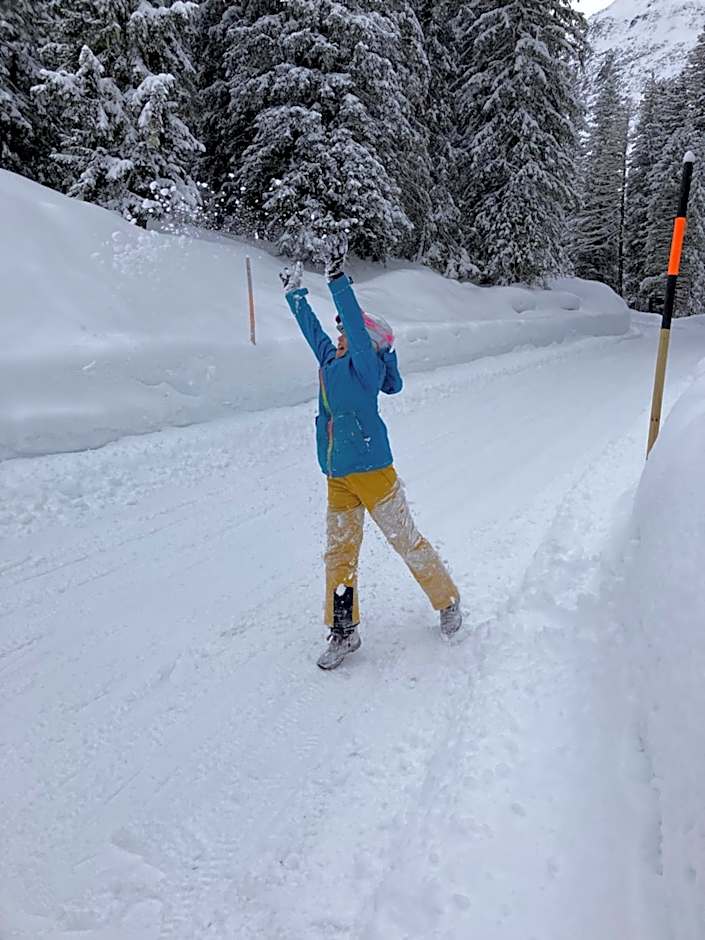 Haus Standlgut Rauris -- incl Sommercard