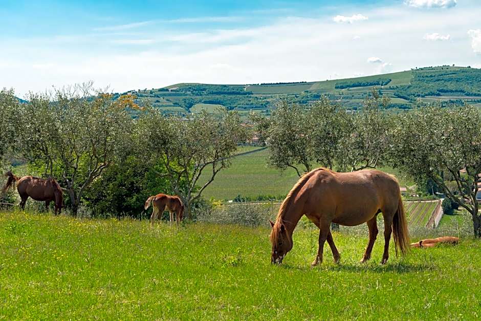 Sporting Hotel San Felice