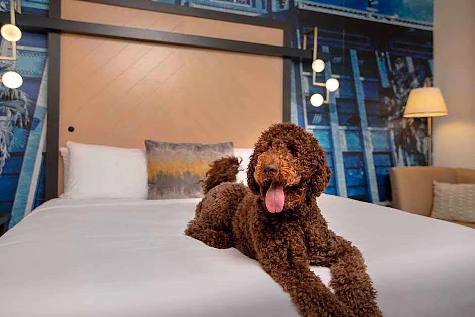 Hotel Indigo Jacksonville-Deerwood Park By IHG
