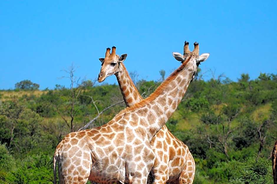 Morokolo Safari Lodge Self-catering