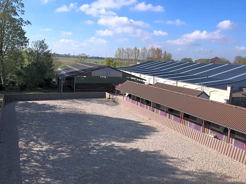 Haras des Chartreux